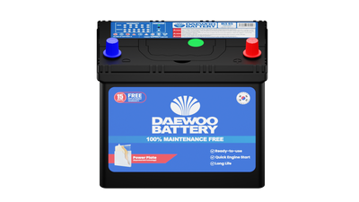 DLS/RS 65 Thick Pole Car Battery